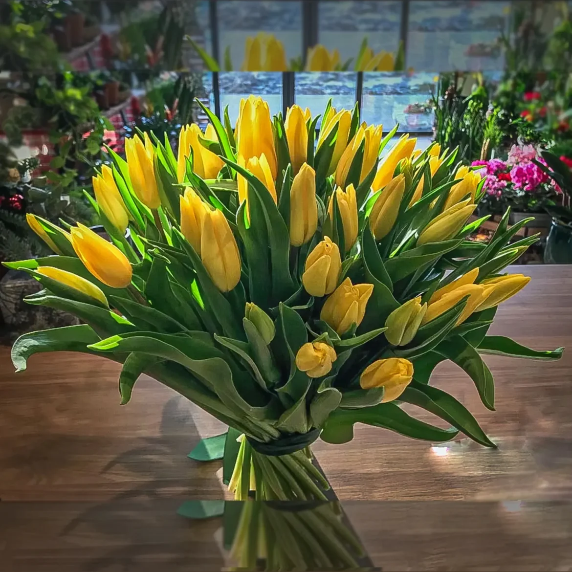 Tulipany